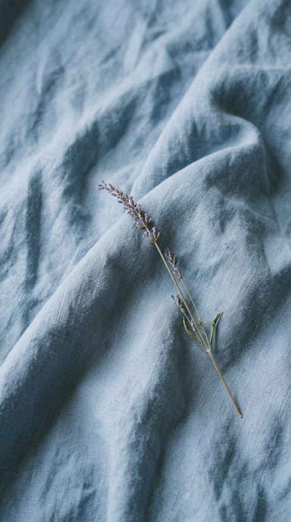 Soft blue linen fabric with a dried flower stem